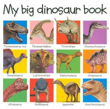 My Big Dinosaur Book